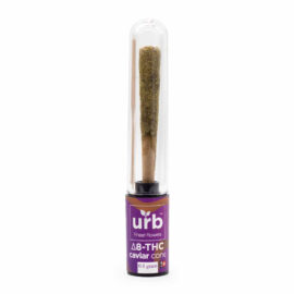 Urb Delta 8 THC Sativa Caviar Cone in Hawaiin Haze