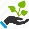 Best Hemp Plant Genetics